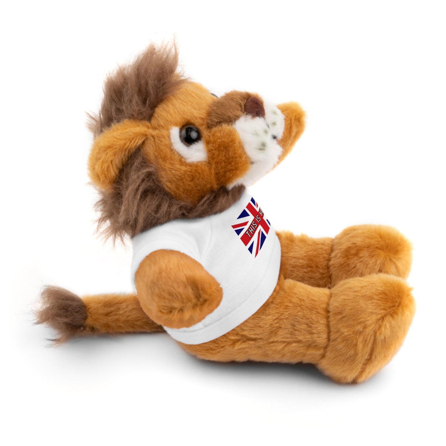 This Is Home UK - Stuffed Animals with Tee