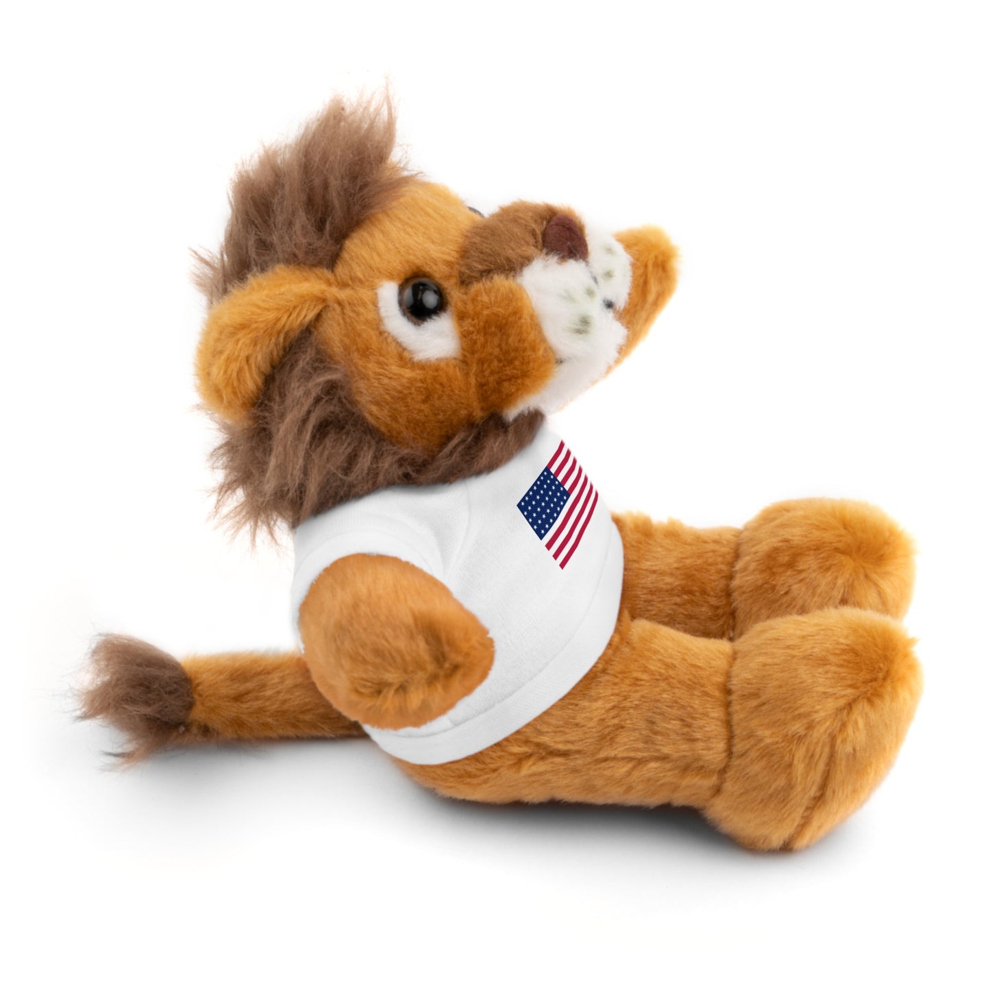 USA - Stuffed Animals with Tee